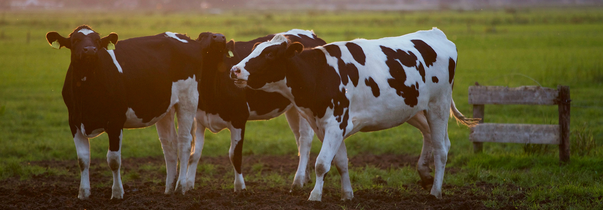 1650784809272543.jpg 01.jpg